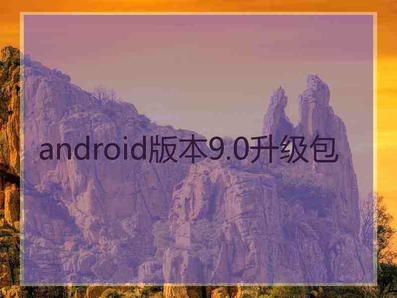 android版本9.0升级包