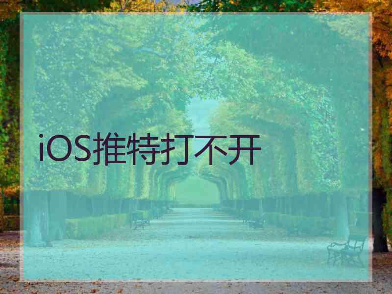 iOS推特打不开