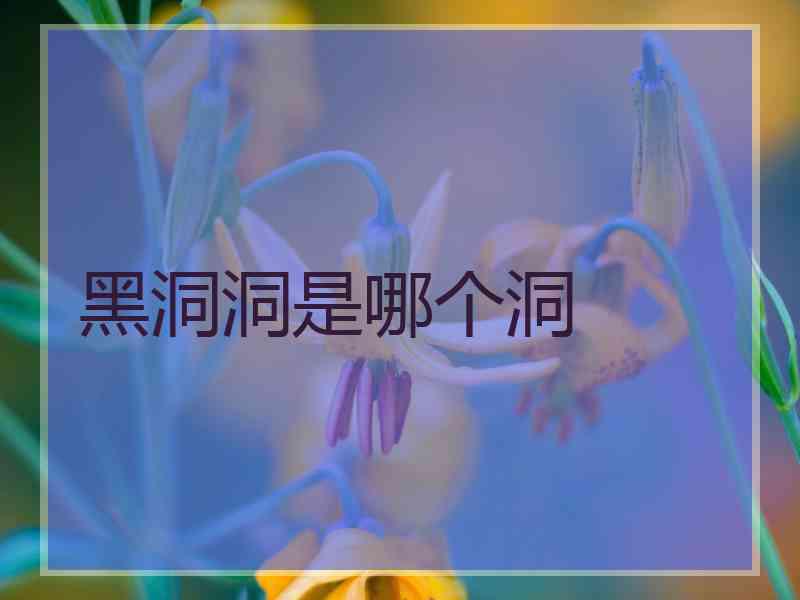 黑洞洞是哪个洞