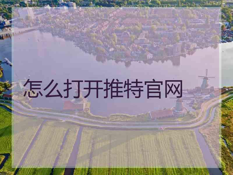 怎么打开推特官网