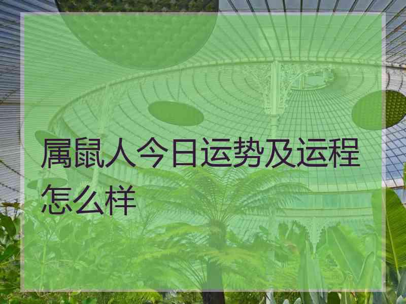 属鼠人今日运势及运程怎么样