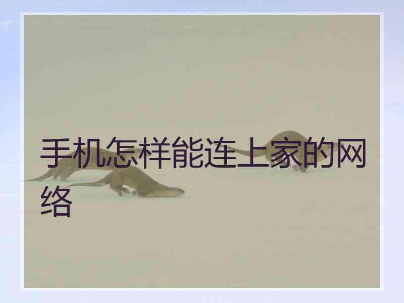 手机怎样能连上家的网络